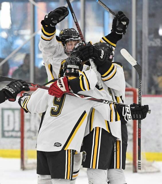 Montour out of PIHL playoffs after ineligible player controversy