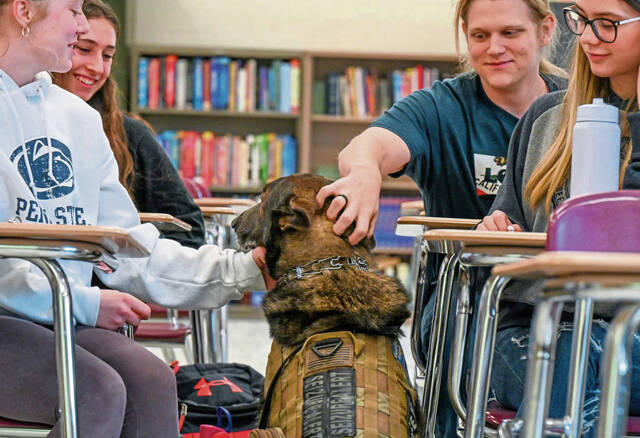5844041_web1_vnd-servicedogfundraiser2-030223