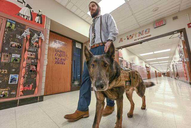 5844041_web1_vnd-servicedogfundraiser3-030223