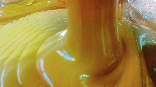 5887590_web1_gtr-mapleseason-031923