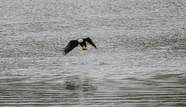 5917522_web1_VND-CarsonDDTeagles5-022023