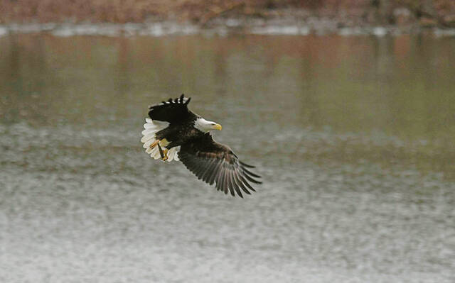 5917522_web1_VND-CarsonDDTeagles6-022023