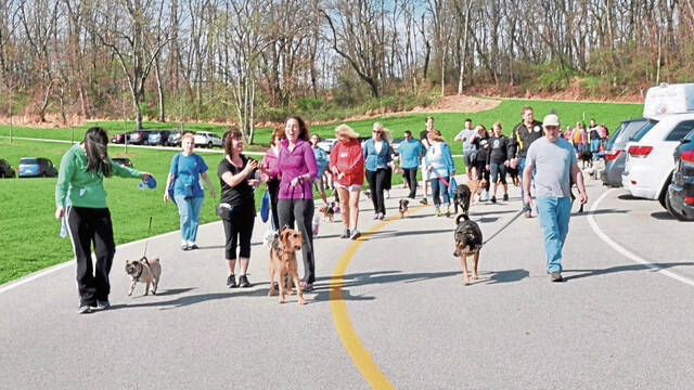 5952554_web1_pal-dogwalk-030923-2
