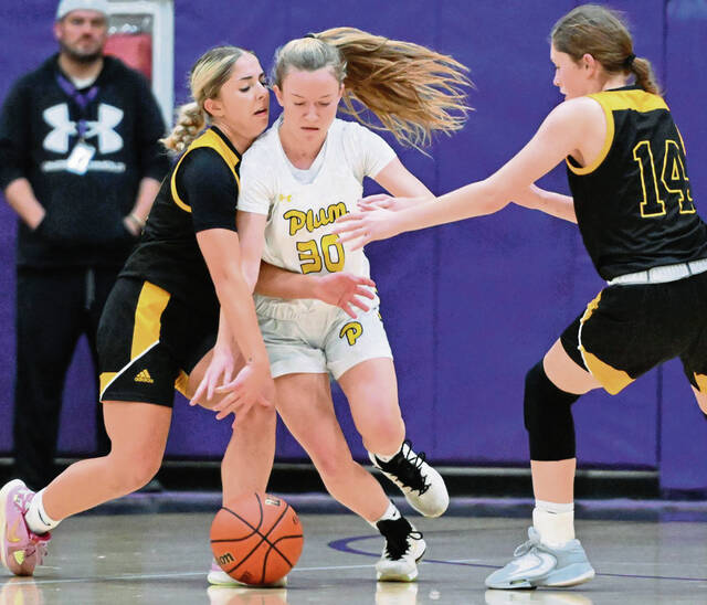Plum girls value experience in WPIAL basketball playoffs