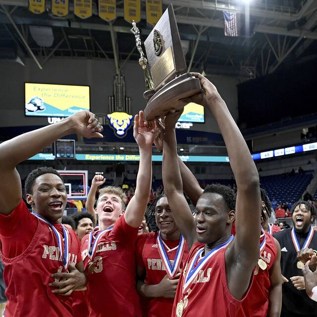 Penn Hills second to none in WPIAL finals victory over Peters Township