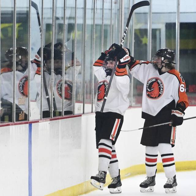 Westmoreland high school notebook: Hockey teams ready for next round