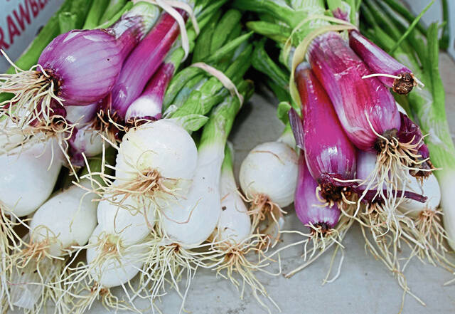 5966768_web1_vnd-farmmarkets4-061115