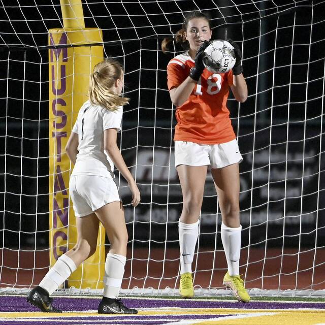 Colleges lining up to offer Franklin Regional goalkeeper Aris Lamanna