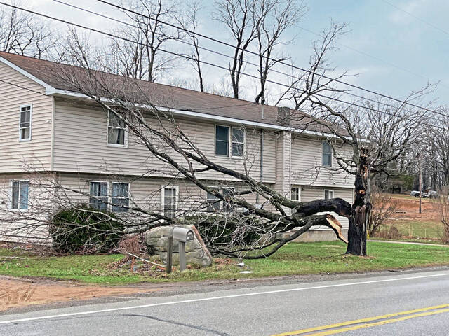 5972602_web1_gtr-WindStormFolo201-030523