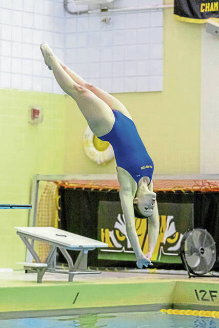 Hampton freshman Gabriella Elk thriving at diving