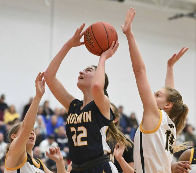 Westmoreland PIAA basketball playoff capsules: Games for March 10, 2023