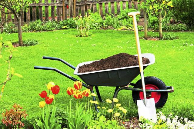 5981878_web1_Gardening