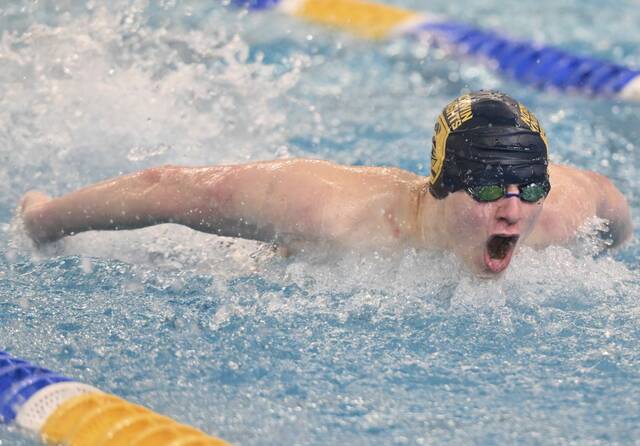 Norwin notebook: Pair of Knights swimmers make states