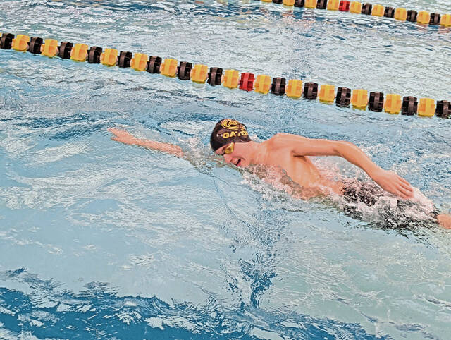 Gateway swimmers hope to finish season strong at PIAA championships