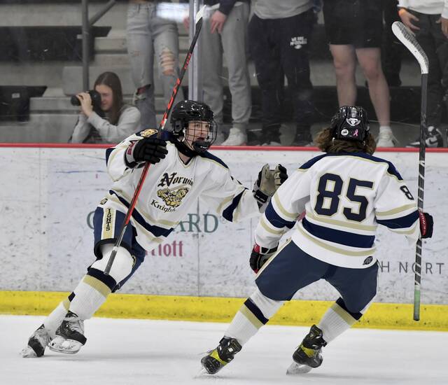 Norwin hockey thriving under pressure as Penguins Cup semifinals await