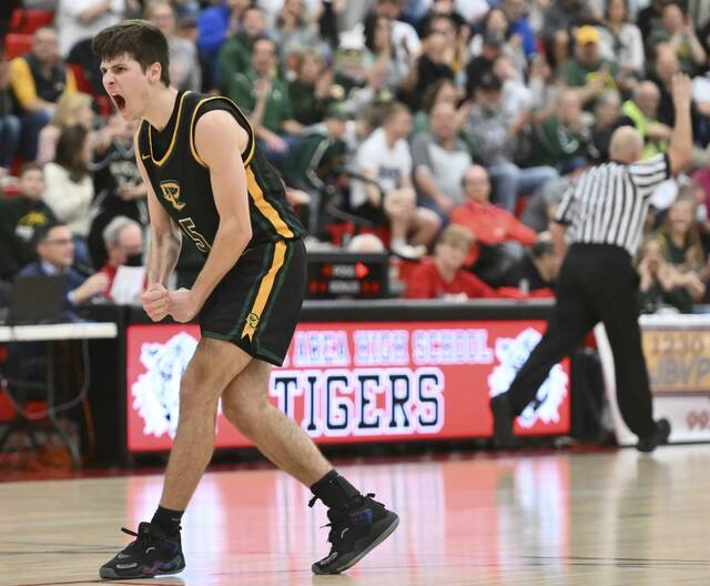 Deer Lakes jumps on Loyalsock Township, rolls into PIAA quarterfinals