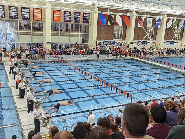 WPIAL swimmers position themselves for finals at PIAA Class 3A championships