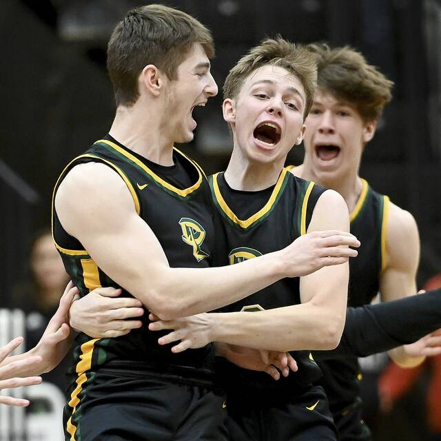 Deer Lakes boys looking to make school history in PIAA quarterfinals vs. Neshannock