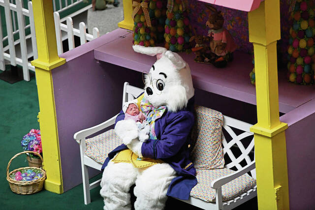 6016776_web1_gtr-lo-bunnyarrives002-031123