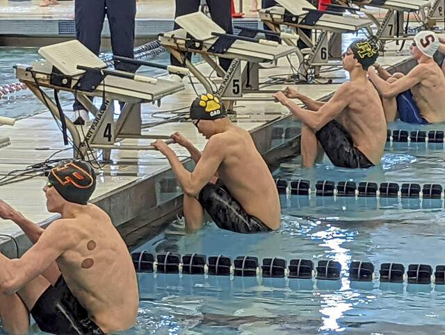 WPIAL swimmers set for championship heats on 2nd day of PIAA Class 3A meet