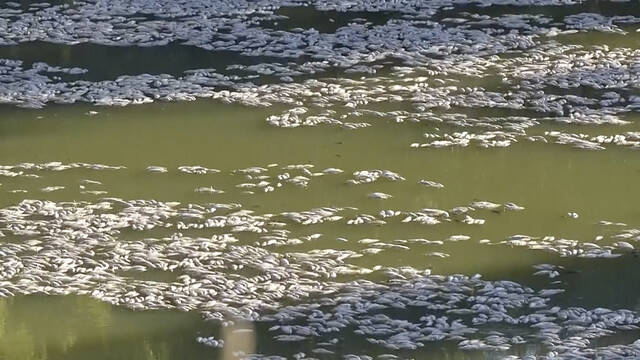 6018954_web1_6018954-7832750a24394fdba09cad8d66dc6a31