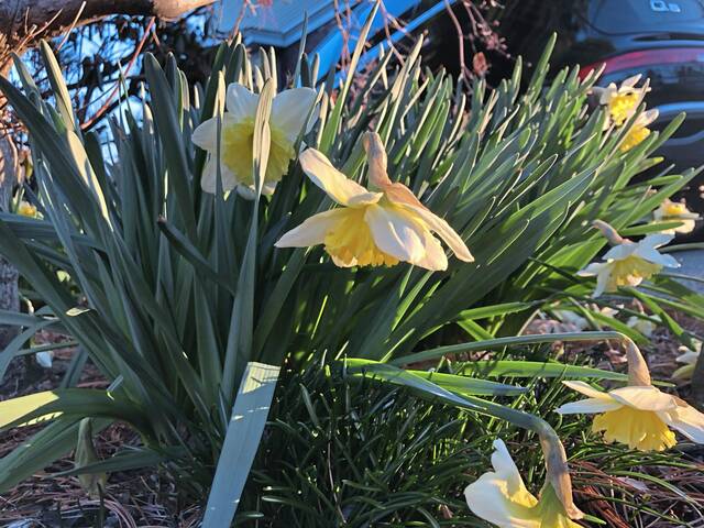 6020636_web1_ptr-itsspring-032123-FC02