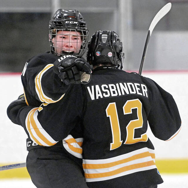 Optimism abounds for Quaker Valley hockey after playoff season