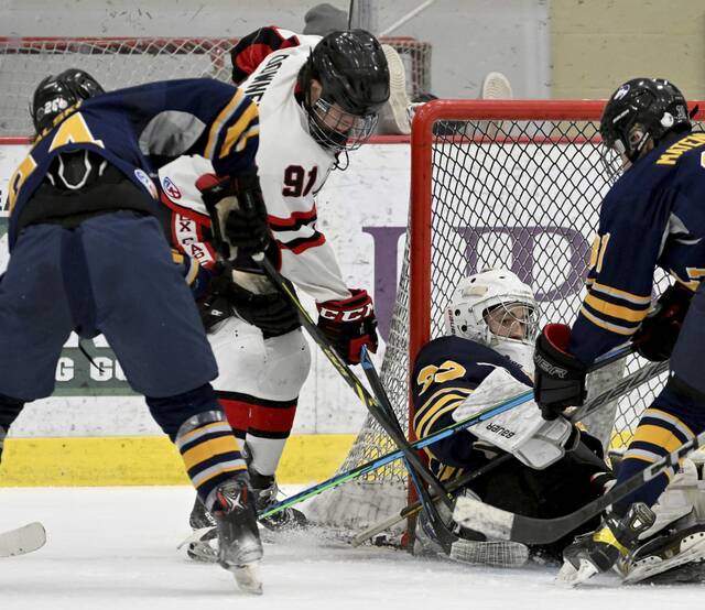 Fox Chapel notebook: Hot goalie ends hockey team’s season