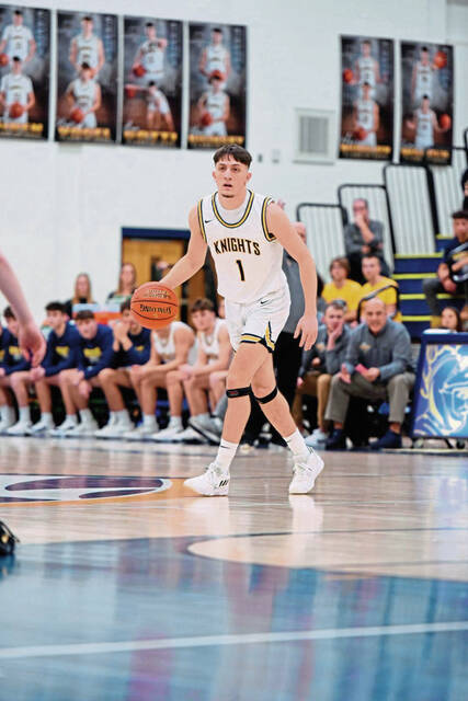 Westmoreland County boys basketball all-stars: Norwin’s Adam Bilinsky flies highest