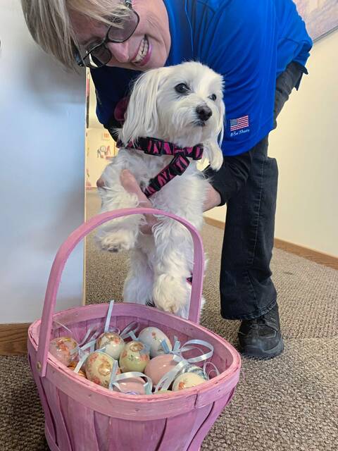 6043108_web1_vep-dogtreats-040223