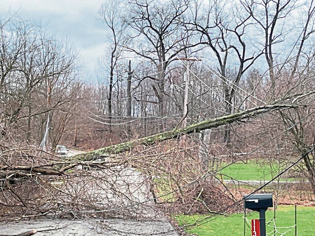 6053428_web1_gtr-WindStormFolo202-030523 6053428_web1_gtr-WindStormFolo202-030523