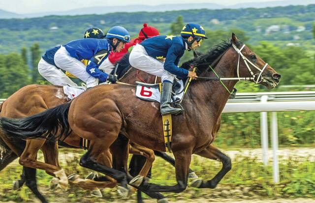 6053971_web1_Horse-Race