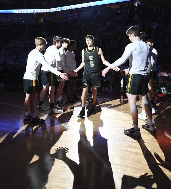 Valley News Dispatch boys basketball all-stars: Deer Lakes’ Bryce Robson strikes gold