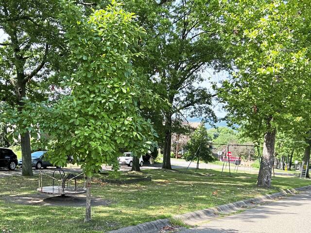 6068528_web1_vnd-campbellparklet2-040623