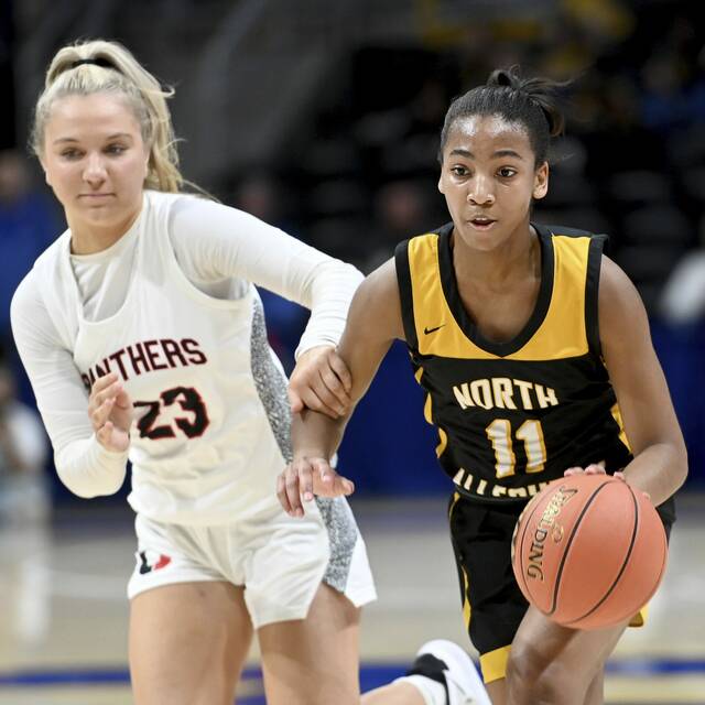 2023 TribLive HSSN Girls Basketball All-Stars