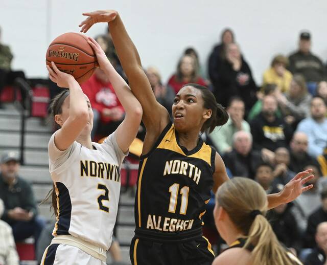 North Allegheny notebook: Jasmine Timmerson, Spencer Stefko earn postseason honors