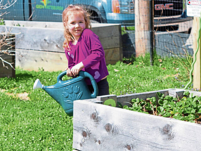 6091880_web1_pal-veronacommunitygarden-042023-1