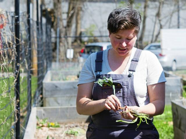 6091880_web1_pal-veronacommunitygarden-042023-9