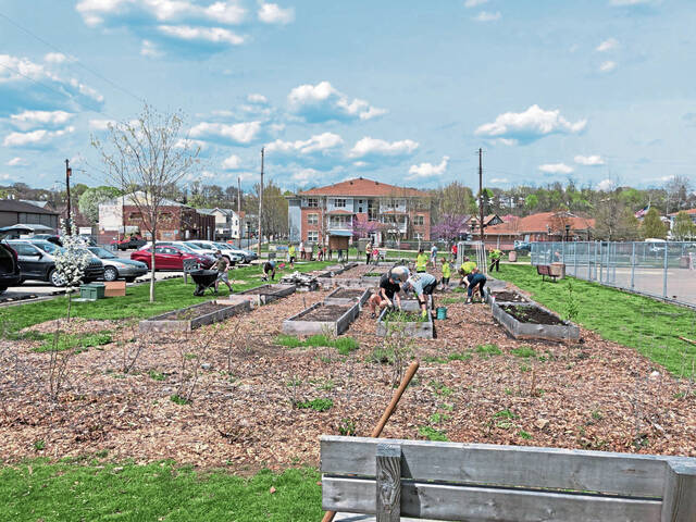 6102945_web1_vnd-gardenproject3-041121