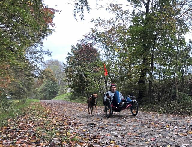6165891_web1_gtr-LO-TrailDog