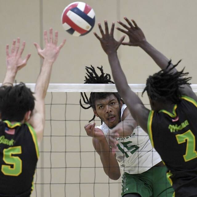 With WPIAL playoffs on horizon, volleyball coaches association releases final boys rankings