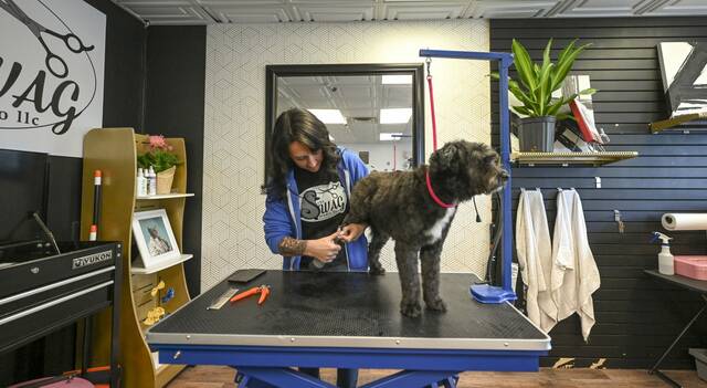 6178426_web1_vnd-Muddypaws2-051023