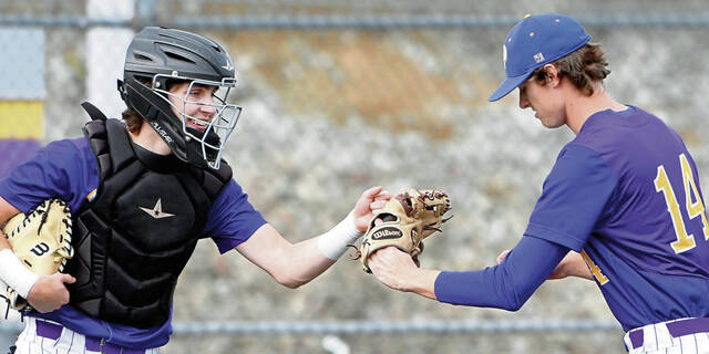 Plum notebook: Mustangs baseball team captures section title