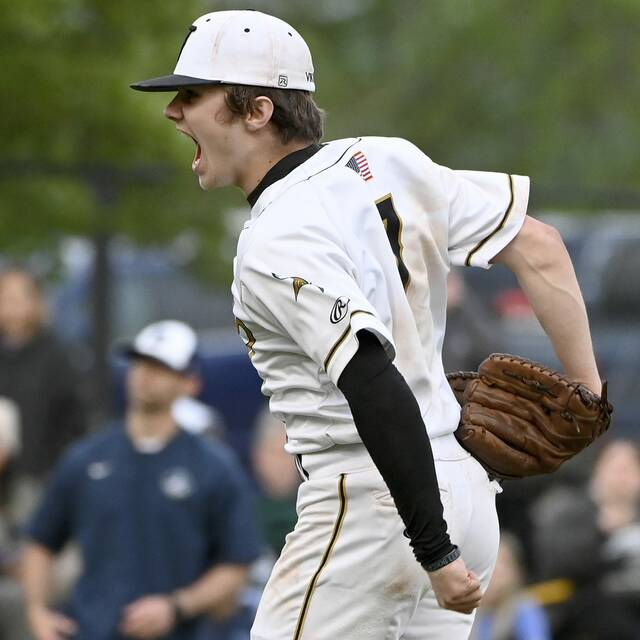 Valley wins playoff section showdown vs. Burrell baseball