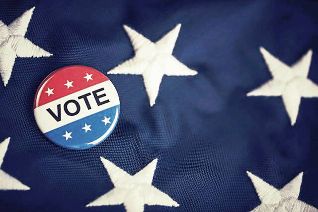 6205001_web1_web-VoteButton