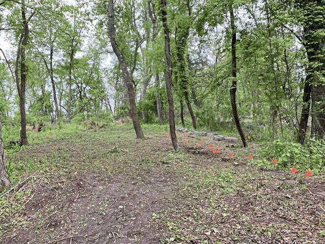 6207562_web1_cemeterycleanup3