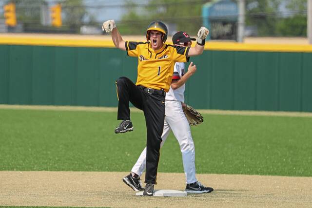 Ace lefty Enzo Lio lifts Riverview past Charleroi in Class 2A 1st round