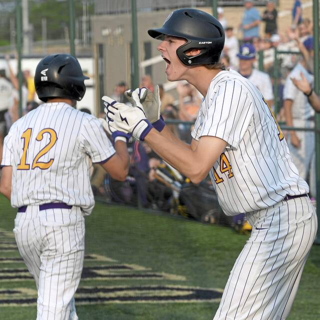 Plum reliever shuts door on South Fayette in Class 5A quarterfinals