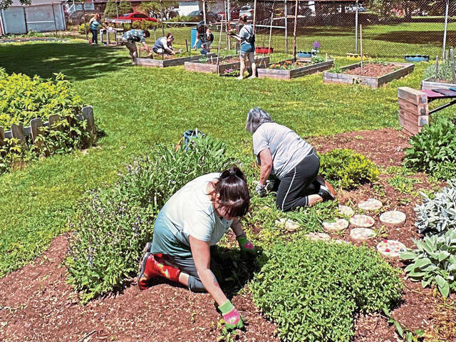 6226074_web1_vnd-VandyGardenOpens-052423-4