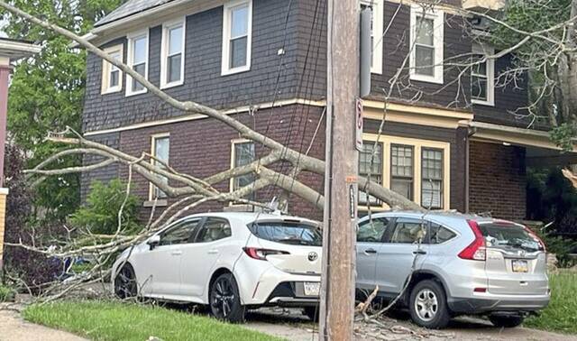 6228223_web1_ptr-brooklinetreebranch-052523